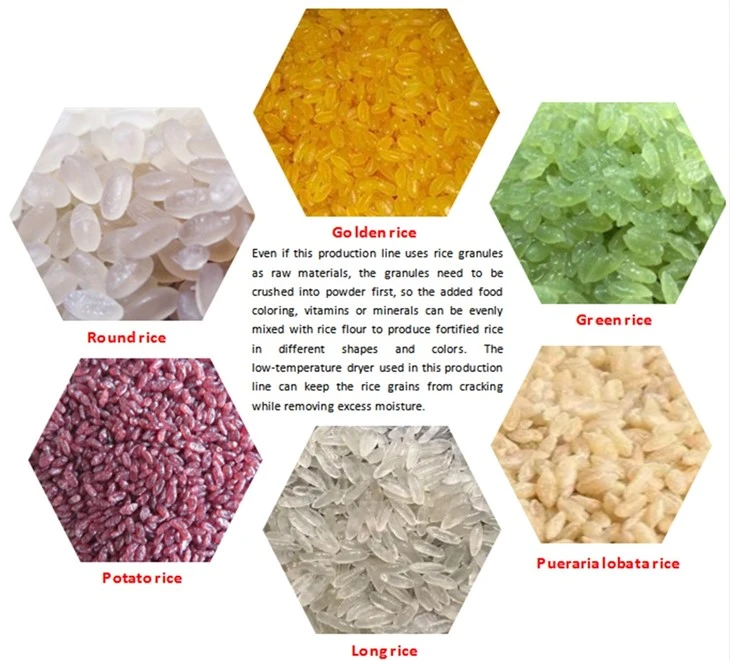 Nutritional Rice Making Machine Extruders Nutritional Rice Making Machine Extruders